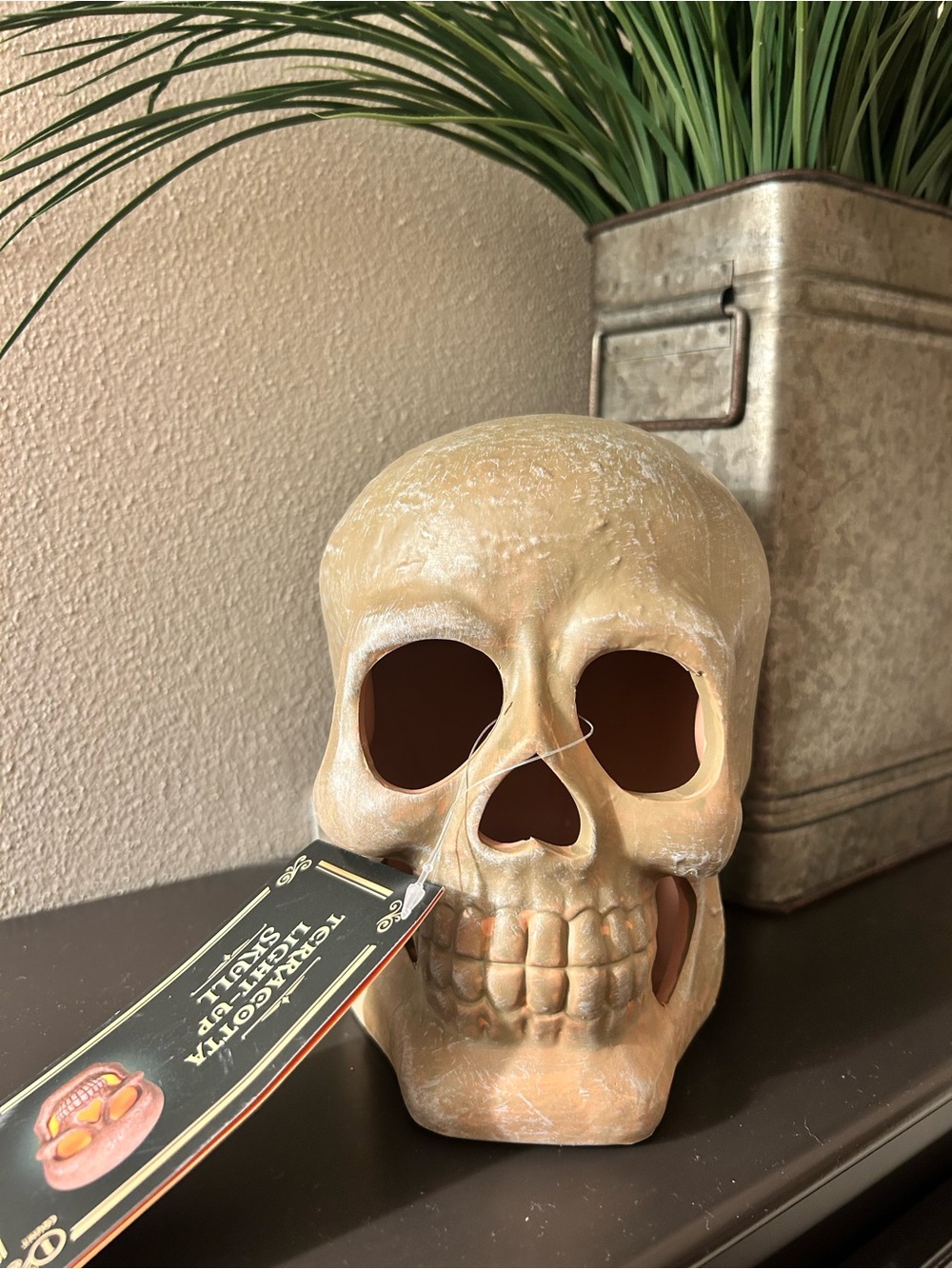 Target Bullseye Halloween Terracotta Light Up Skull